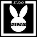 Studio Mr Bunny